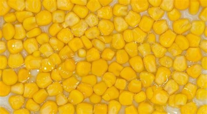 soaking corn seeds before planting