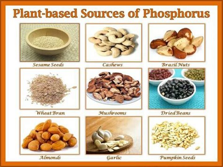 sodium phosphate in food