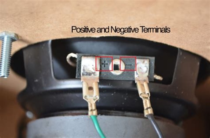 speaker positive and negative terminals
