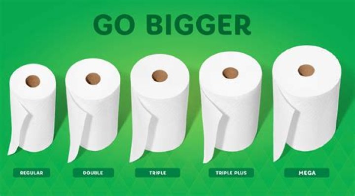 standard paper towel roll size