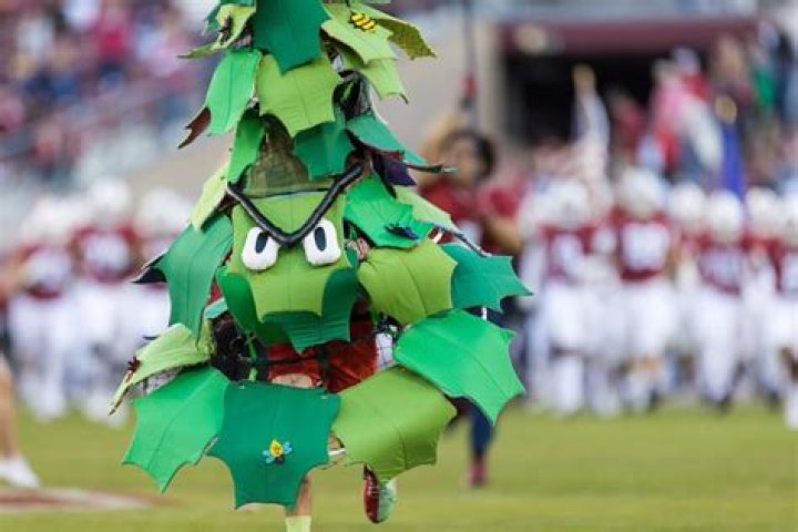 stanford cardinals tree