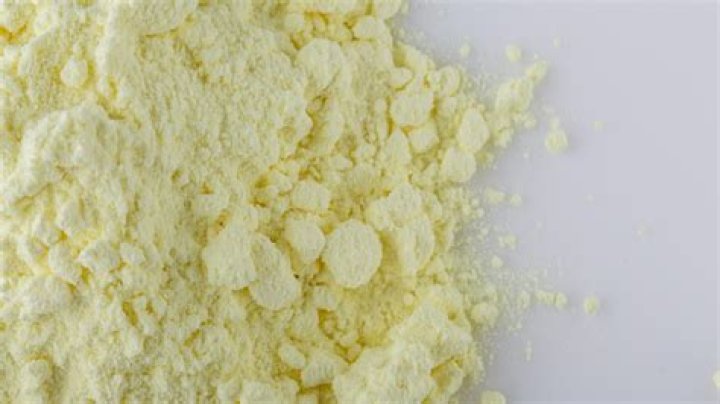 sulfur powder for chiggers