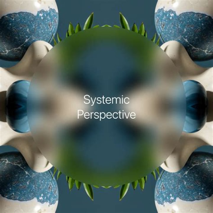 systemic perspective definition