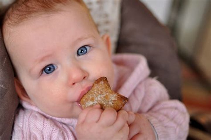 teething biscuits age