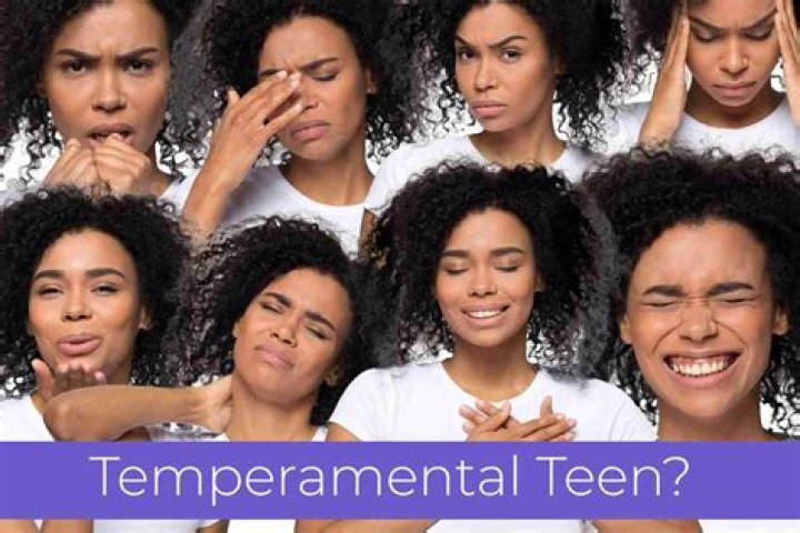 temperamental person