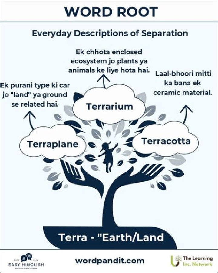 terra root word