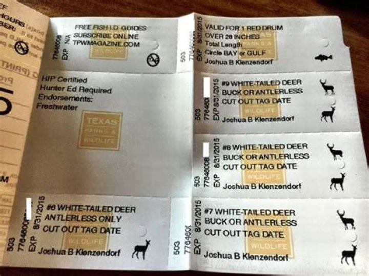 texas veterans hunting license