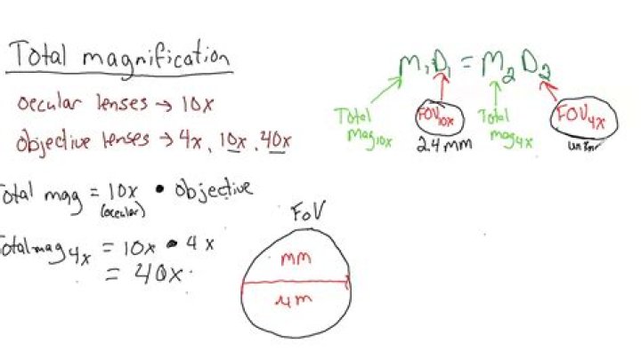total magnification formula