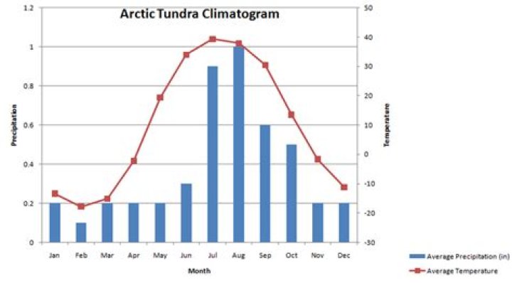 tundras average precipitation