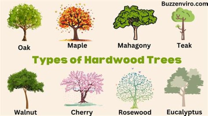 types of hardwood trees