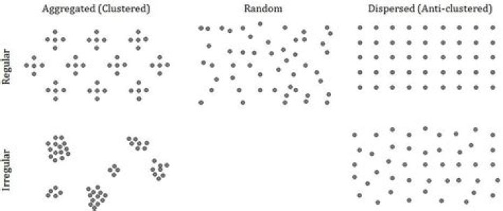 types of spatial patterns