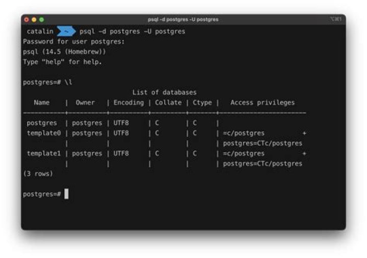 -U postgres – user.-d typeorm – my database to which i want to connect.-c – my query command.; – se