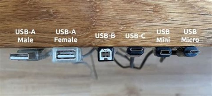 usb male vs female