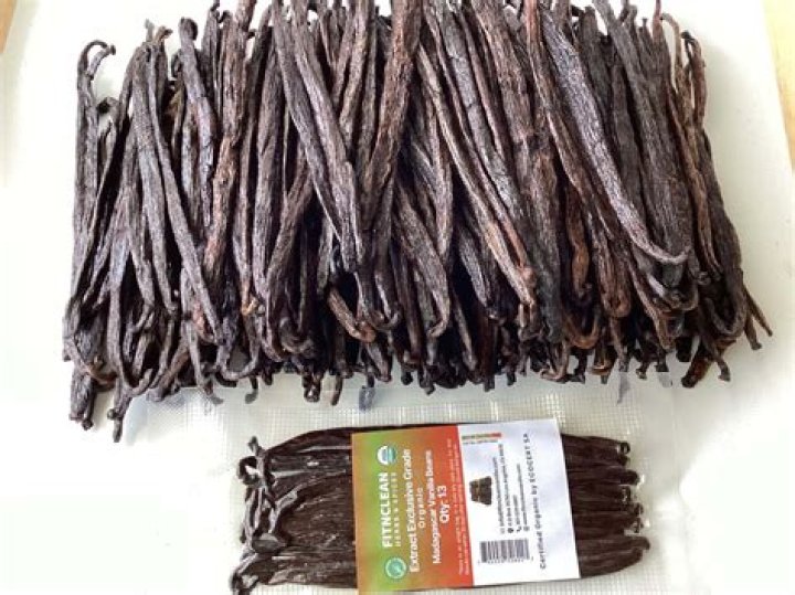 vanilla bean grocery store