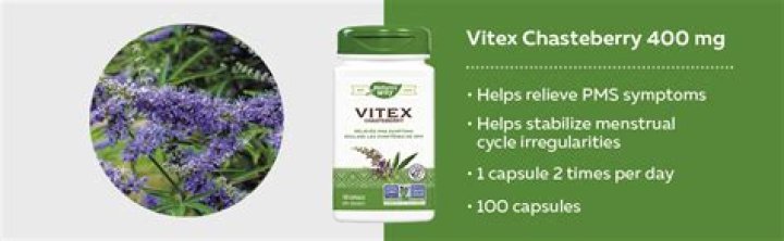 vitex and fibroids