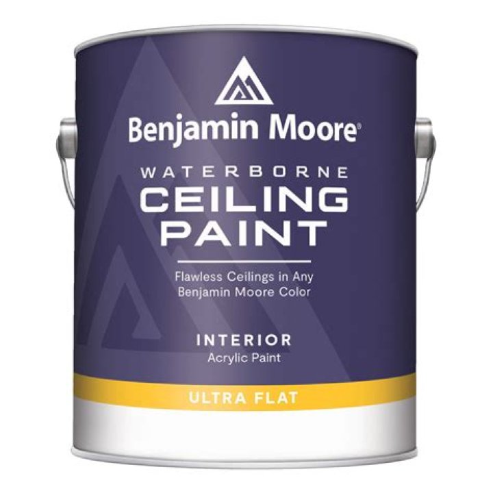 waterborne alkyd paints