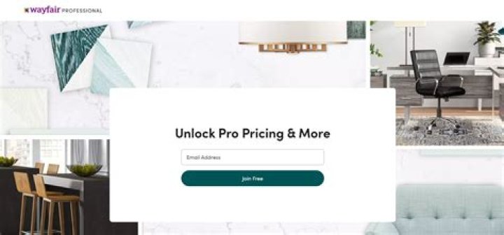 wayfair professional program cost