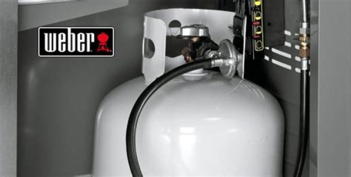 weber regulator reset