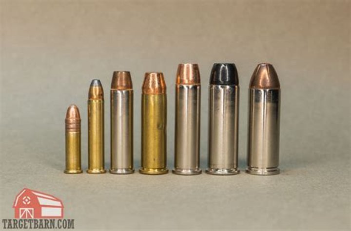 what ammo does the revolver take in rust