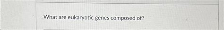 what are eukaryotic genes composed of?