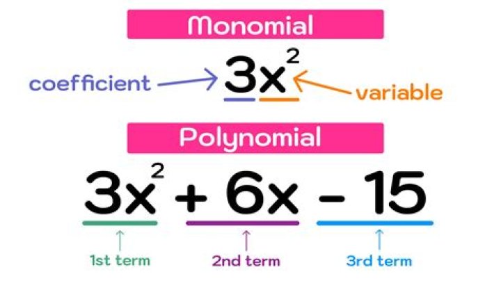 what are polynomials closed under