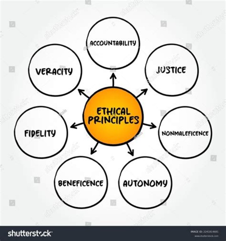 what are the five basic principle in professional ethics