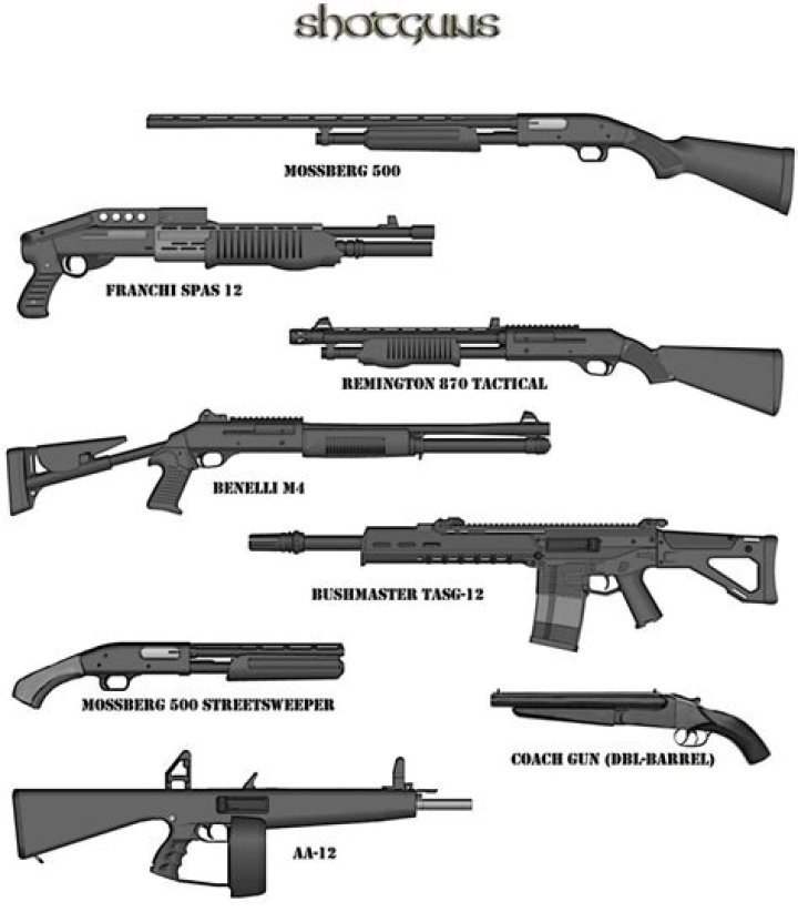 what are two types of safeties found in modern shotguns