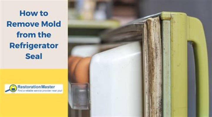 what causes mold on refrigerator door seal