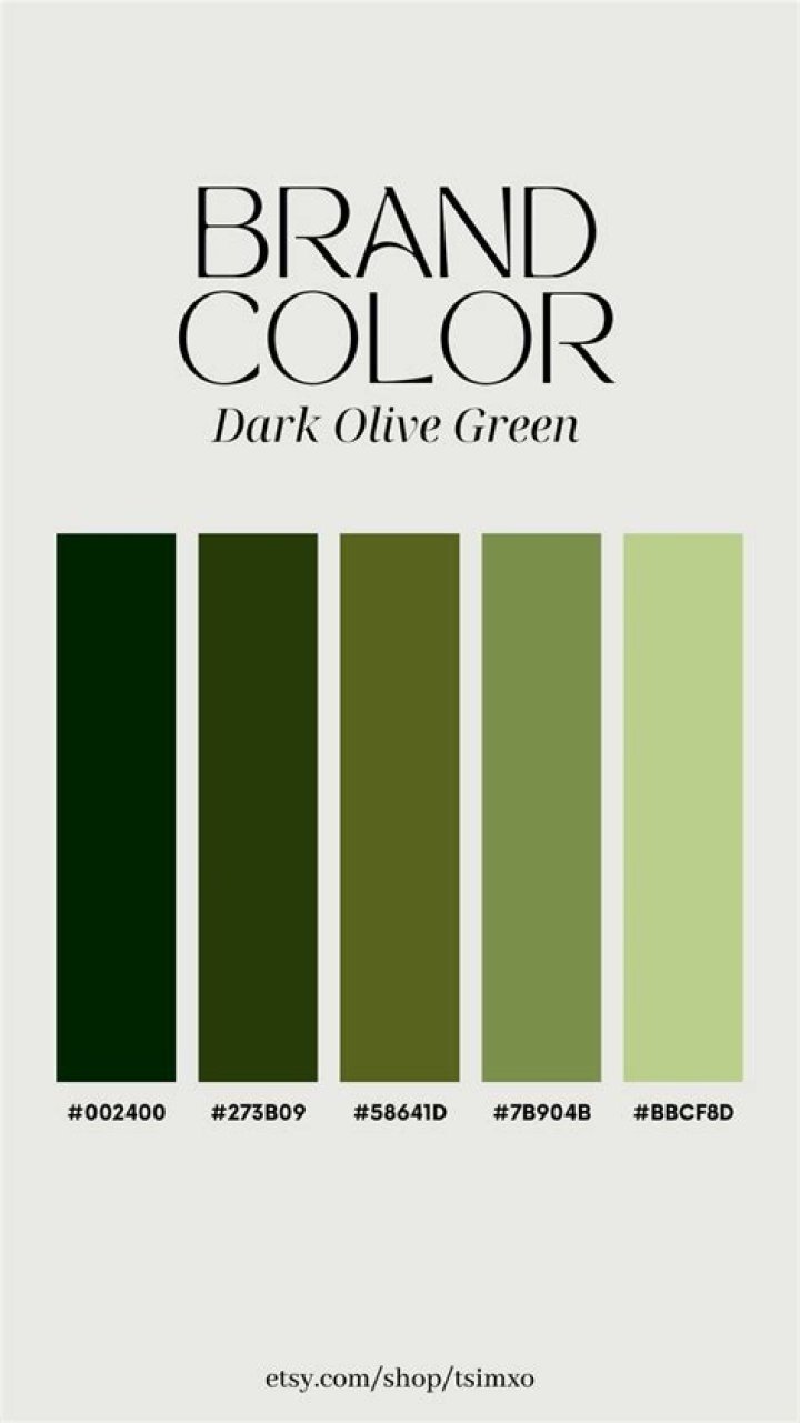 what color is dark olive