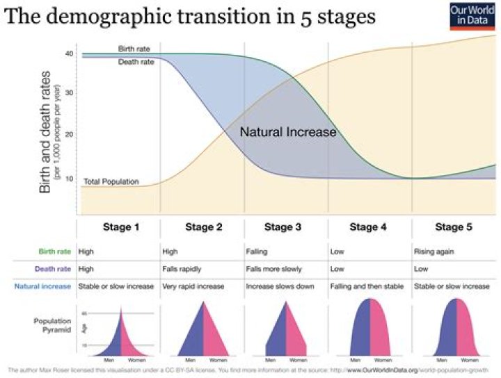 what country is in stage 5 of the demographic transition