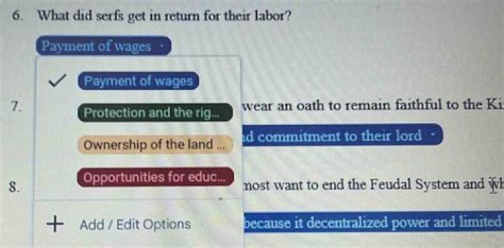 what did serfs get in return for their labor