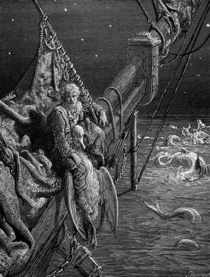 what did the sailors do with the albatross corpse