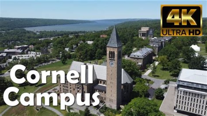what division is cornell university