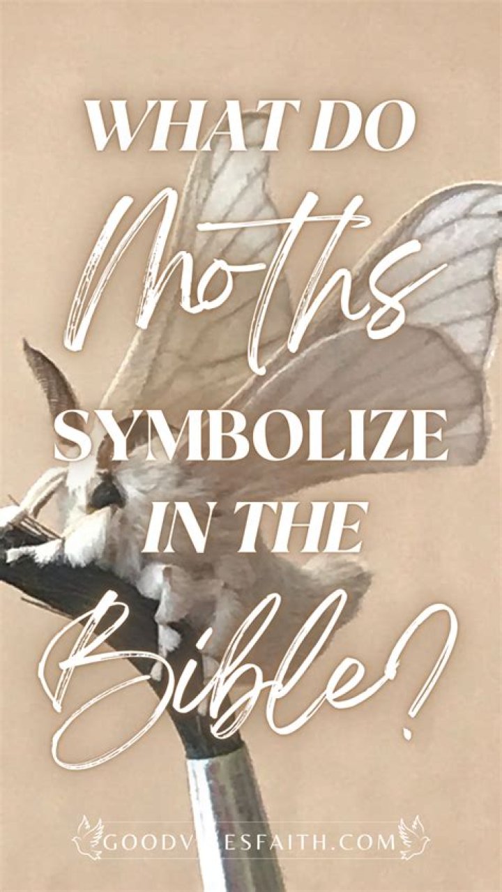 what do moths symbolize in the bible