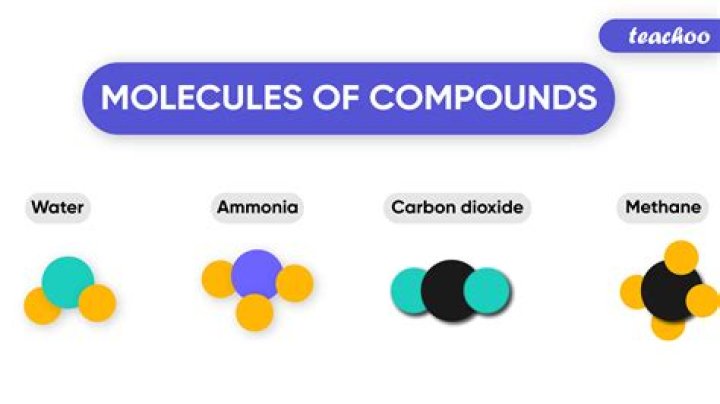 what does a compound look like