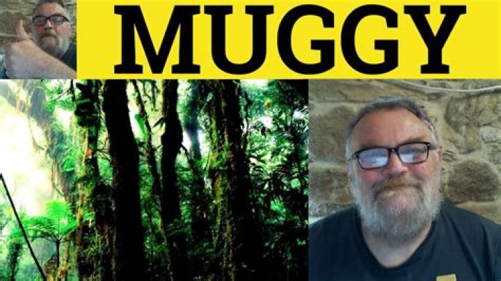 what does muggy mean