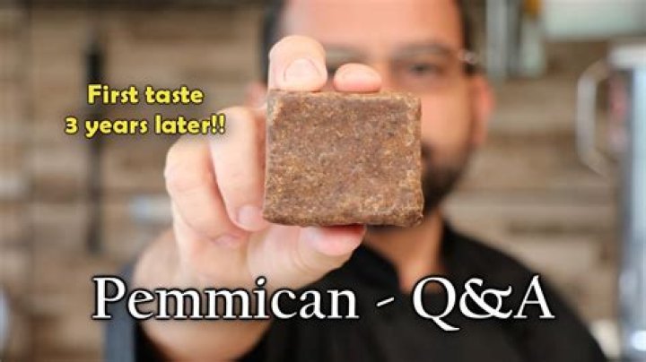 what does pemmican taste like