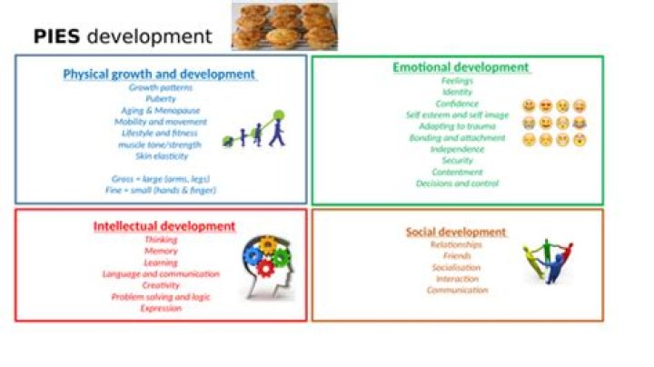 what does pies mean in health and social care