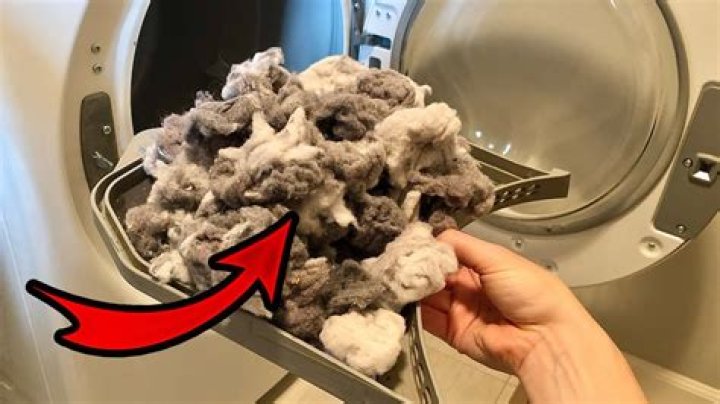 what happens if lint falls into dryer