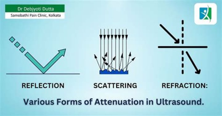 what is attenuation in microbiology