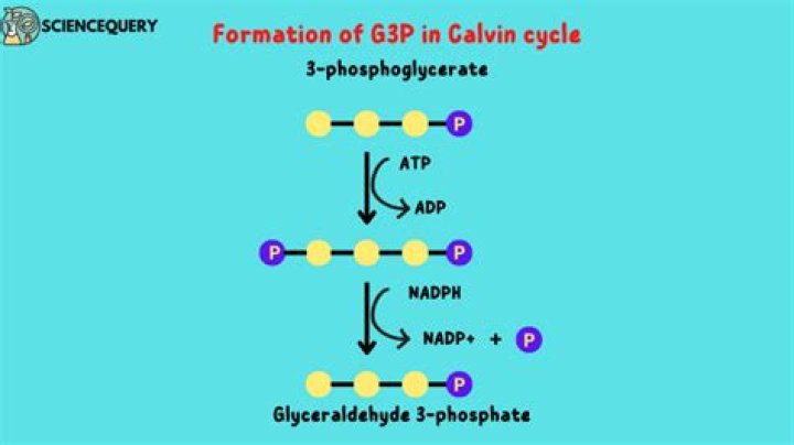 what is g3p