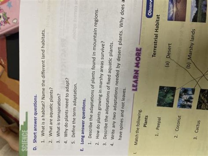 what is habitat short answer