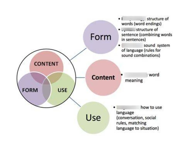 what is language content