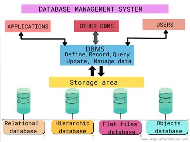 what is report in database system