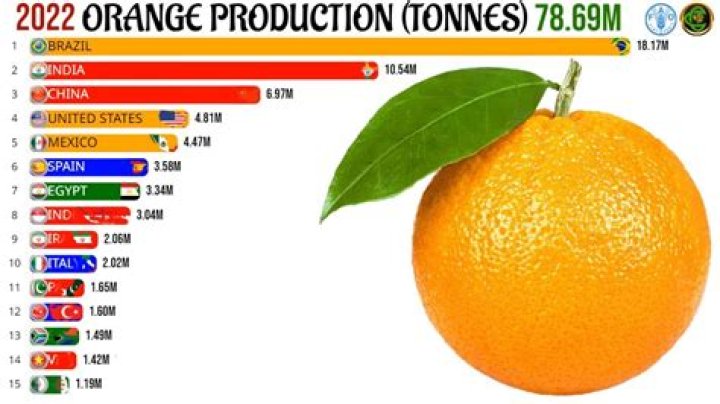 what is the leading north american producer of oranges