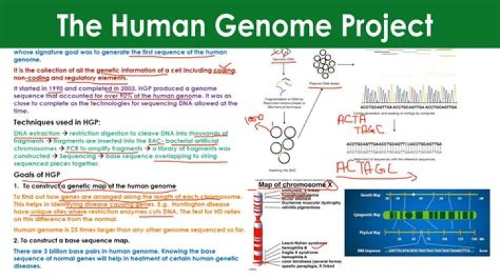 what is the main goal of the human genome project