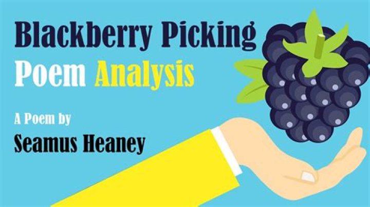 what is the message of the poem blackberry picking