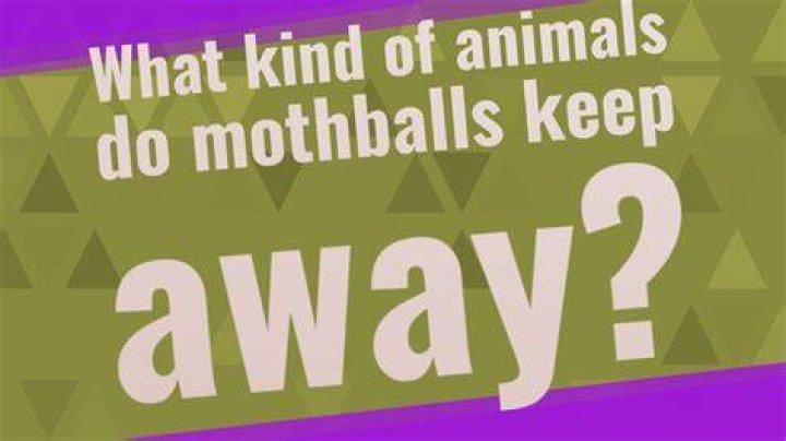 what kind of animals do mothballs keep away
