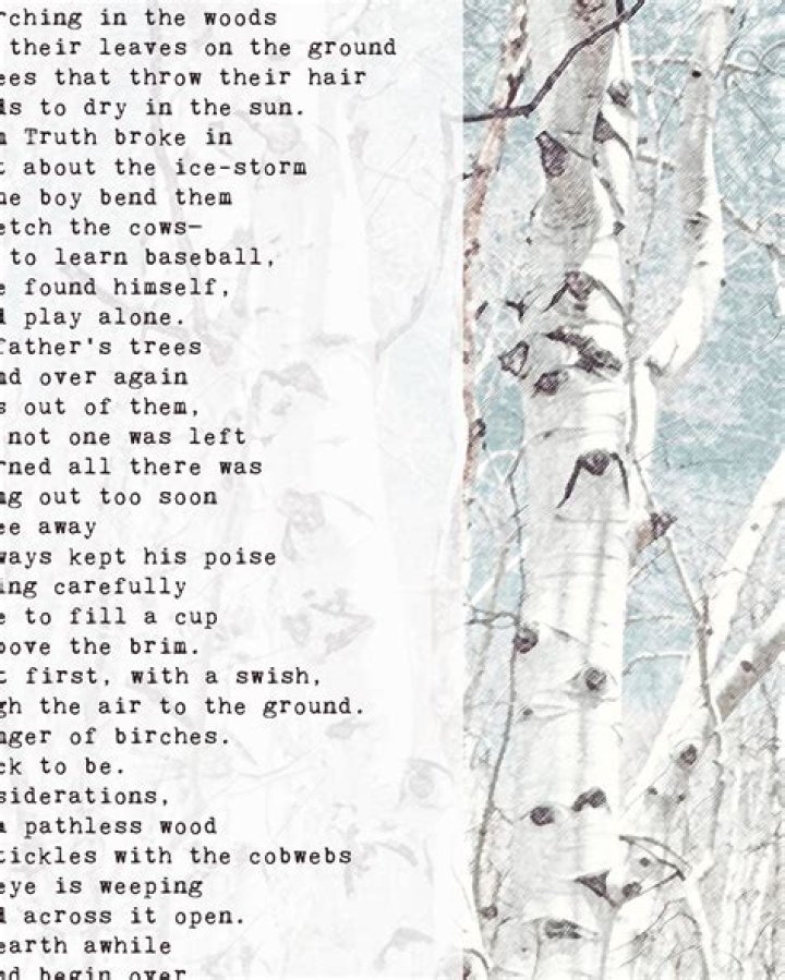 what kind of poem is birches