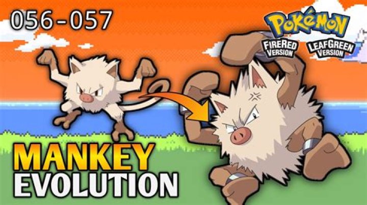 what level does mankey evolve